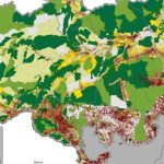 IPAM Apresenta Proposta para Remuneração do Setor Produtivo na Luta Contra o Desmatamento Legal