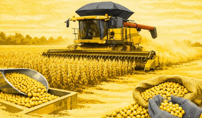 Expectativas de Safra Recorde de Soja e Grãos no Brasil para 2025/26