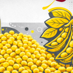 Brasil Rumo a um Recorde Histórico no Processamento de Soja em 2026