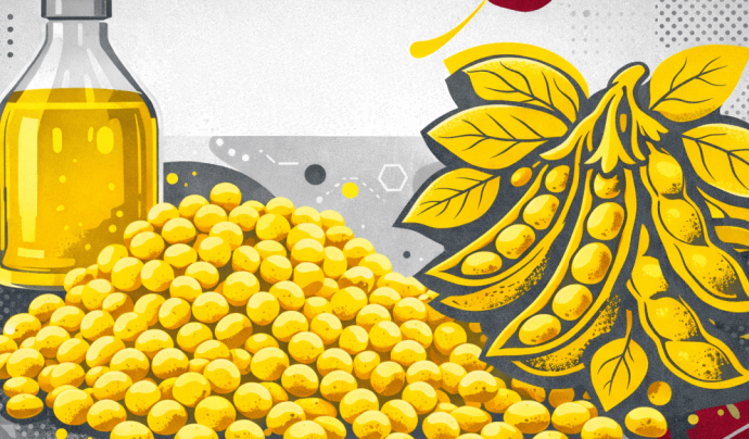 Brasil Rumo a um Recorde Histórico no Processamento de Soja em 2026