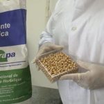 Brasil na Lua: Inovação em Agricultura Espacial pela Embrapa
