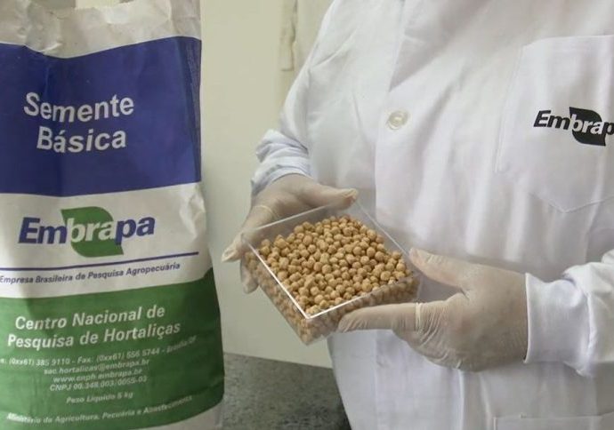 Brasil na Lua: Inovação em Agricultura Espacial pela Embrapa