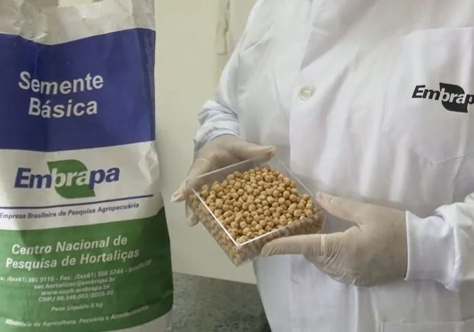 Brasil na Lua: Inovação em Agricultura Espacial pela Embrapa