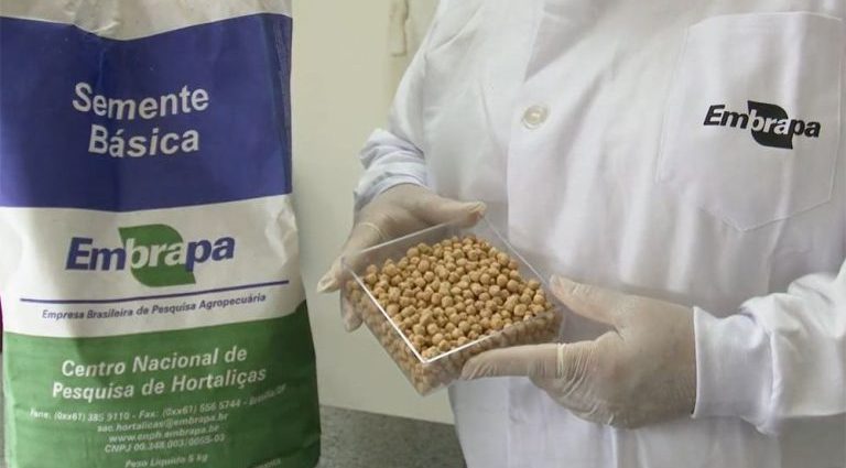 Brasil na Lua: Inovação em Agricultura Espacial pela Embrapa