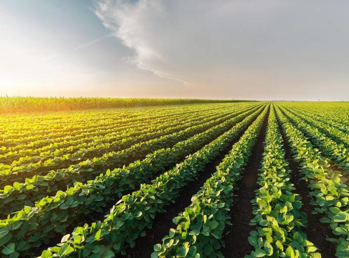 Aprovação do Acordo Mercosul-União Europeia e Desafios do Agronegócio Brasileiro