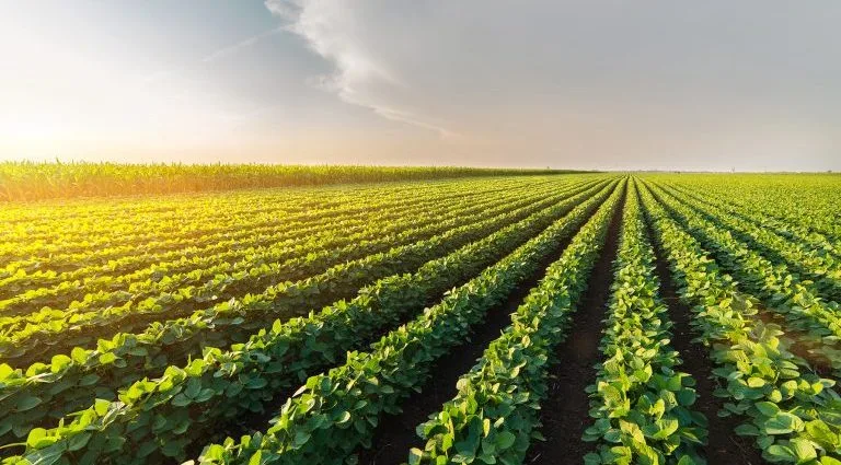 Aprovação do Acordo Mercosul-União Europeia e Desafios do Agronegócio Brasileiro Aprovação do Acordo Mercosul-União Europeia e Desafios do Agronegócio Brasileiro