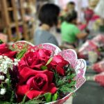 Ações da PRF no Combate ao Crime Organizado e ao Narcotráfico em Todo o Brasil