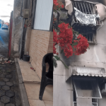 Tragédia em Recife: Incêndio em Apartamento Resulta na Morte de Dois Irmãos
