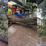 Impacto dos Eventos Climáticos sobre a População Brasileira: Uma Análise Detalhada