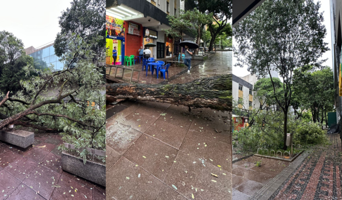 Impacto dos Eventos Climáticos sobre a População Brasileira: Uma Análise Detalhada Impacto dos Eventos Climáticos sobre a População Brasileira: Uma Análise Detalhada