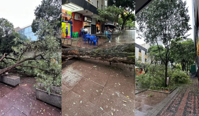 Impacto dos Eventos Climáticos sobre a População Brasileira: Uma Análise Detalhada