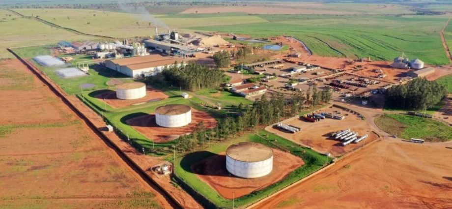 QUALIDADE DE AÇÚCAR: Viralcool Castilho É DESTAQUE NACIONAL