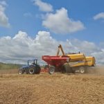 Colheita de Soja no Brasil: Avanços e Desafios na Safra 2025/26