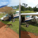 Avião de pequeno porte cai em aldeia indígena no Pará sem deixar feridos