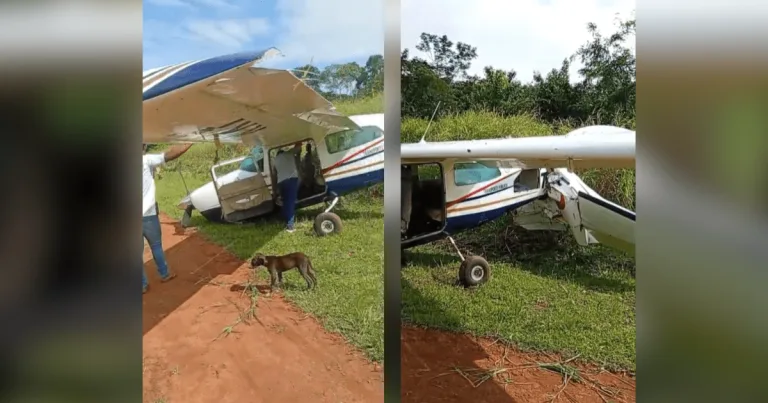 Avião de pequeno porte cai em aldeia indígena no Pará sem deixar feridos