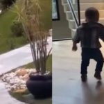 Semelhanças Entre Leonardo e José Leonardo Encantam a Web