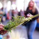 Bispos da América Latina convocam à reflexão para a Semana Santa