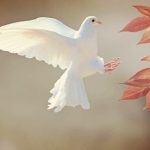 Dom Roberto: Promovendo uma Paz Transformadora e Esperançosa