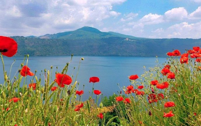 A Voz Silenciosa das Dores Emocionais