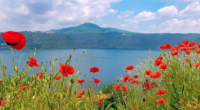 A Voz Silenciosa das Dores Emocionais