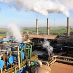 Clealco realiza ‘Dia D’ em Luiziânia com oportunidades no setor agrícola