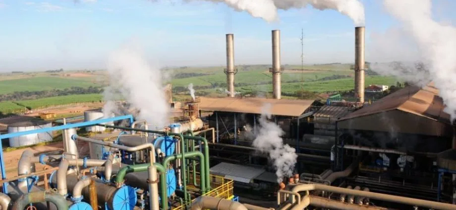 Clealco realiza 'Dia D' em Luiziânia com oportunidades no setor agrícola