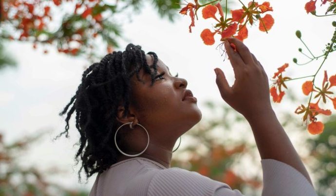 Celebrando o Dia Internacional da Mulher: Reflexões e Frases Inspiradoras para 2026