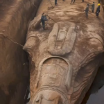 Explorando o Mundo do Pinterest: Alien e Mistérios