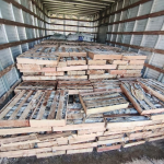 PRF Apreende 9 Toneladas de Peixes Transportados Irregularmente na BR-116 em Milagres (BA)