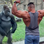 Explorando o Mundo das Figuras Impressionantes: Alienígenas e Fantasmas no Pinterest