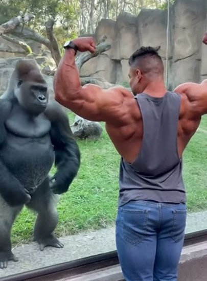 Explorando o Mundo das Figuras Impressionantes: Alienígenas e Fantasmas no Pinterest Explorando o Mundo das Figuras Impressionantes: Alienígenas e Fantasmas no Pinterest