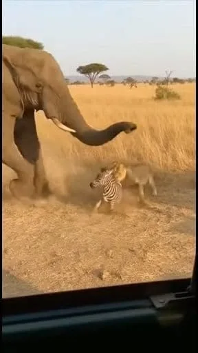 Inspirações do Pinterest para Estilo e Criatividade