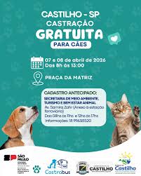 PRO PET SP CONFIRMA MUTIRÕES DE CASTRAÇÃO EM CASTILHO E REGIÃO PRO PET SP CONFIRMA MUTIRÕES DE CASTRAÇÃO EM CASTILHO E REGIÃO