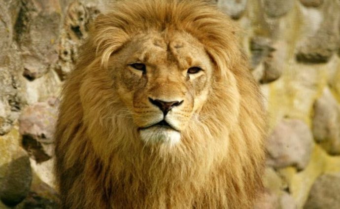 Imposto de Renda 2026: Novidades sobre Isenção de Investimentos