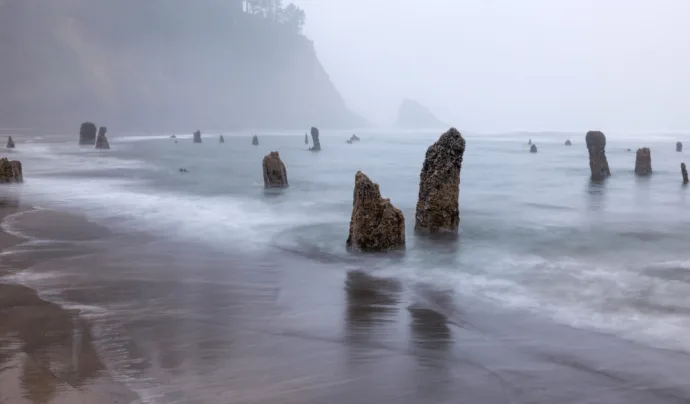 Cascadia: A Zona de Subducção e Seus Riscos Sísmicos