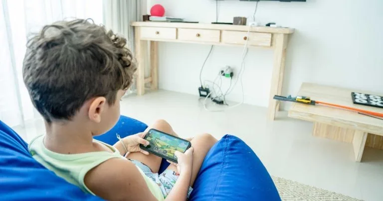 Mudanças na Internet: ECA Digital e Decisões Judiciais nos EUA Buscam Segurança Online