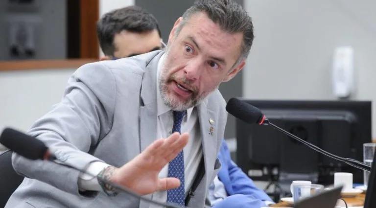 Projeto de Lei Avança em Brasília para Inclusão de ONGs no Combate à Violência contra a Mulher