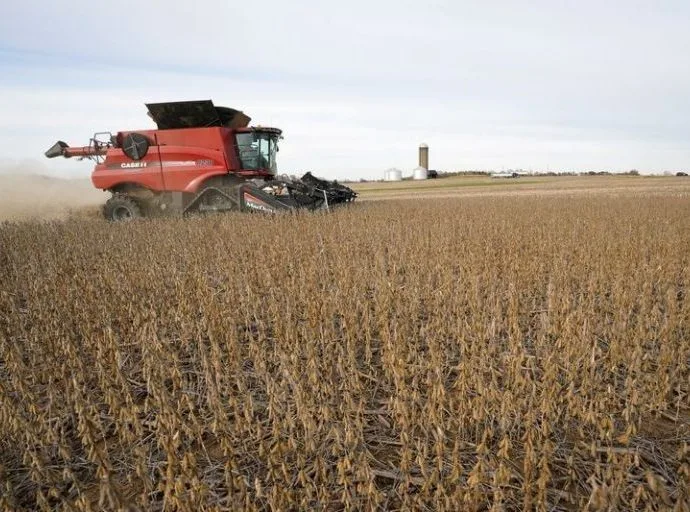 Soja enfrenta leve queda em Chicago, enquanto milho e trigo apresentam alta