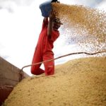 ANEC Aumenta Expectativa de Exportação de Soja do Brasil para Março