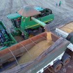 Novas Exigências Sanitárias Afetam Exportações de Soja Brasileira para a China