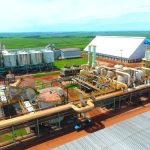 Usina Da Mata Açúcar e Álcool Realiza Plantão de Empregos em Guararapes