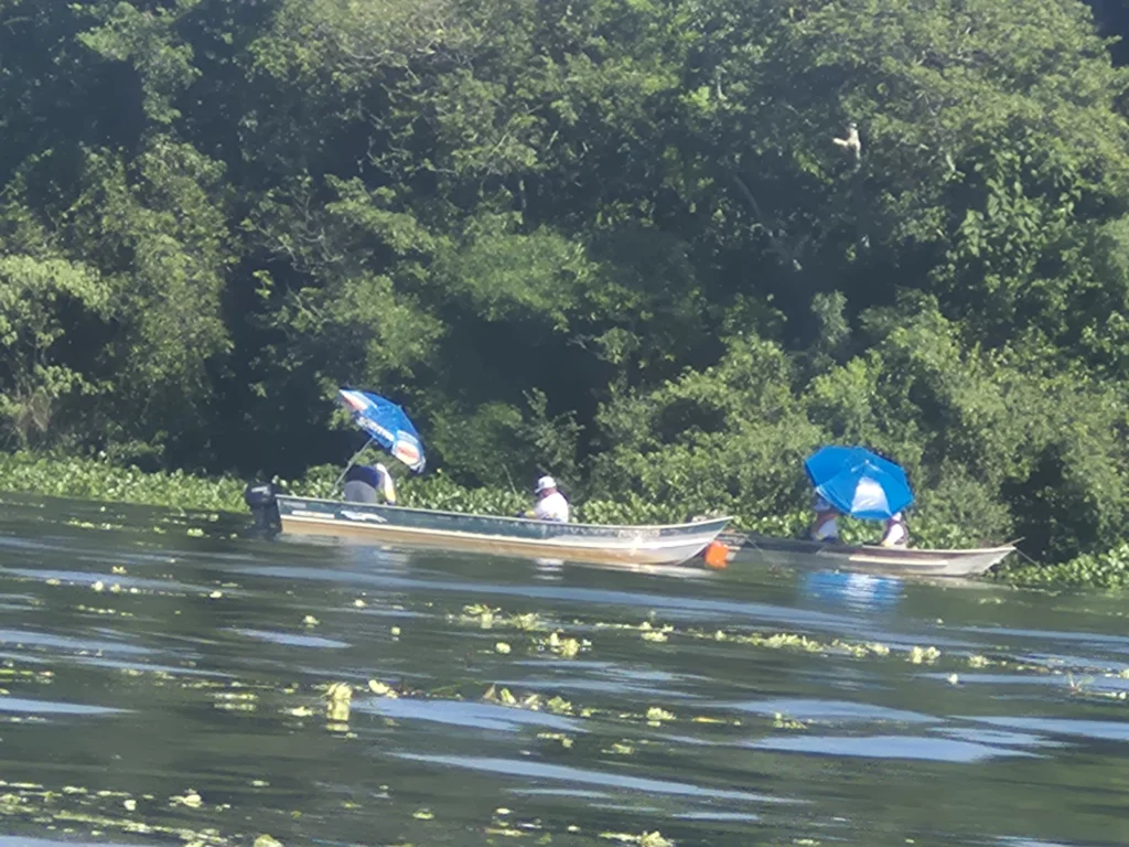 Torneio de pesca anima competidores em Castilho