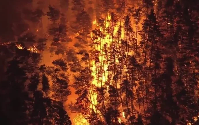 Incêndios florestais levam a evacuação de moradores no norte do Japão