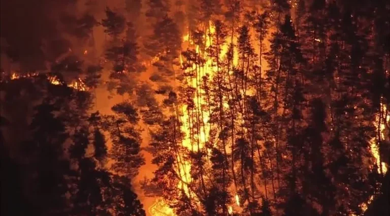 Incêndios florestais levam a evacuação de moradores no norte do Japão