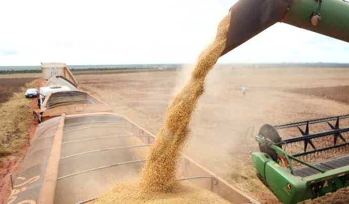 Brasil exporta 15,8 milhões de toneladas de soja em março, aponta ANEC