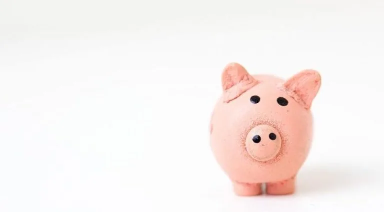 Estudo revela que um terço dos brasileiros não possui reserva financeira