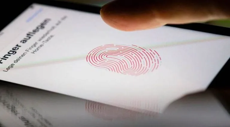 Governo Estende Prazo para Emissão da Carteira de Identidade Nacional em Benefícios Sociais Governo Estende Prazo para Emissão da Carteira de Identidade Nacional em Benefícios Sociais
