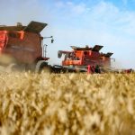 Aumento nas Exportações de Trigo da Rússia para o Sudão