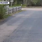 Tragédia aérea: legisladora de Dakota do Norte morre em acidente de avião