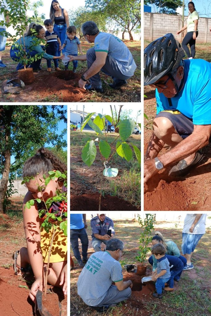 AÇÃO AMBIENTAL EM CASTILHO 47 MUDAS TRANSFORMAM BAIRRO